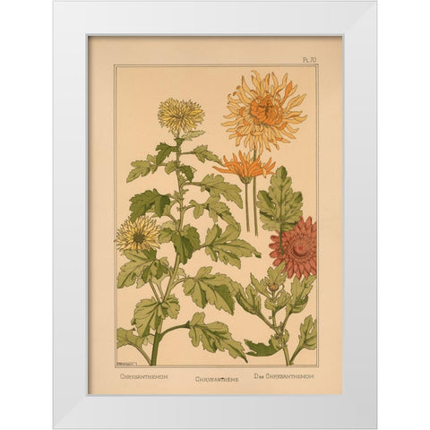 Plate 70 - Chrysanthemum White Modern Wood Framed Art Print by Vintage Apple Collection