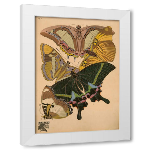 Plate 8 - Papillons White Modern Wood Framed Art Print by Vintage Apple Collection