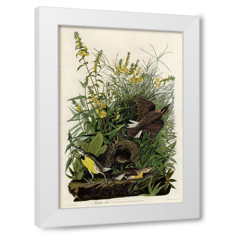 Meadow Lark White Modern Wood Framed Art Print by Vintage Apple Collection