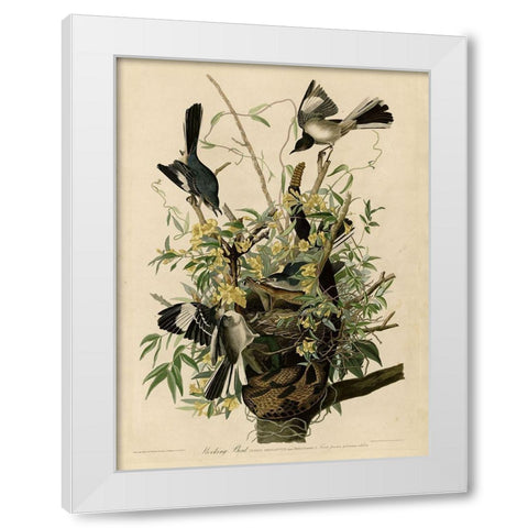 Mocking Bird White Modern Wood Framed Art Print by Vintage Apple Collection