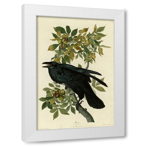 Raven White Modern Wood Framed Art Print by Vintage Apple Collection