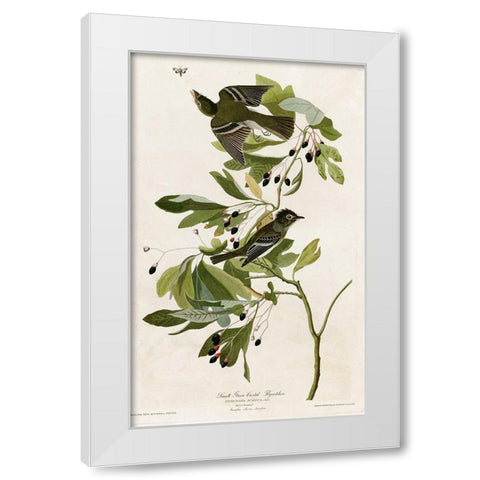 Small Green Crested Flycatcher White Modern Wood Framed Art Print by Vintage Apple Collection
