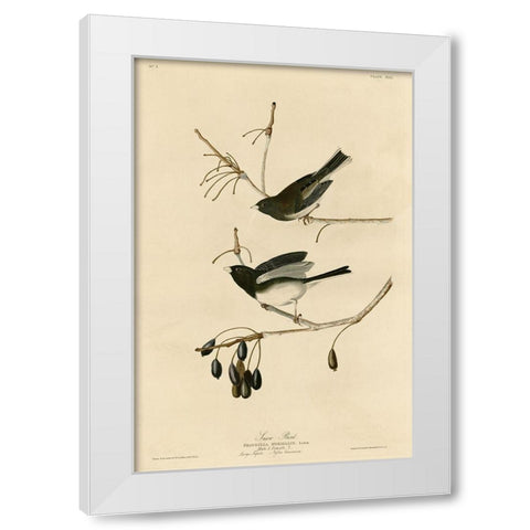 Snowbird White Modern Wood Framed Art Print by Vintage Apple Collection