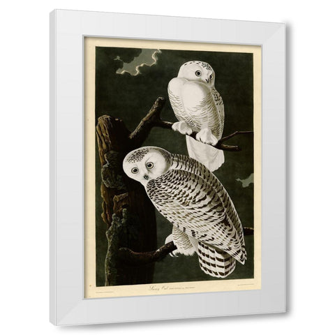 Snowy Owl White Modern Wood Framed Art Print by Vintage Apple Collection