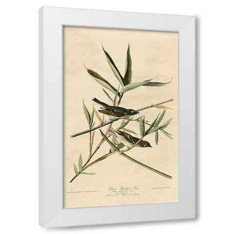 Solitary Flycatcher White Modern Wood Framed Art Print by Vintage Apple Collection