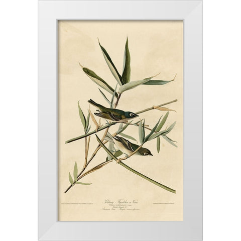 Solitary Flycatcher White Modern Wood Framed Art Print by Vintage Apple Collection