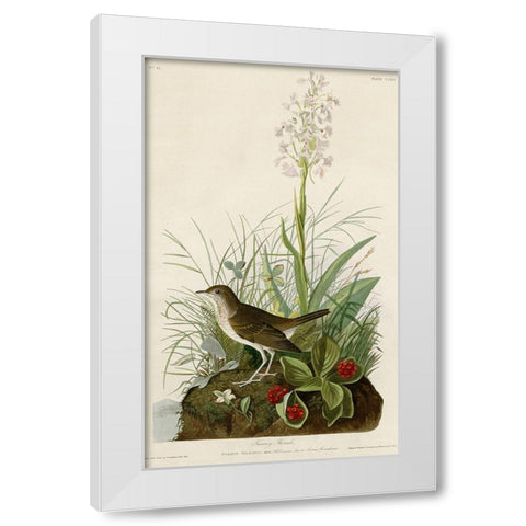 Tawny Thrush White Modern Wood Framed Art Print by Vintage Apple Collection