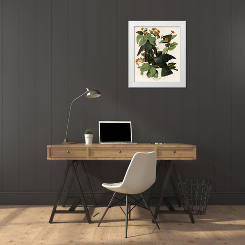 White Crowned Pigeon White Modern Wood Framed Art Print by Vintage Apple Collection