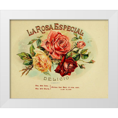 La Rosa White Modern Wood Framed Art Print by Vintage Apple Collection