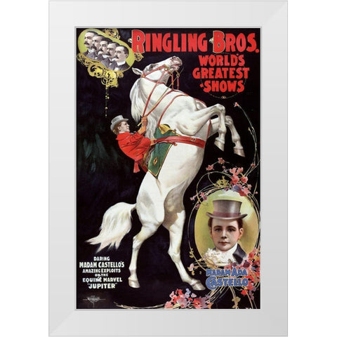 Madam Costello White Modern Wood Framed Art Print by Vintage Apple Collection