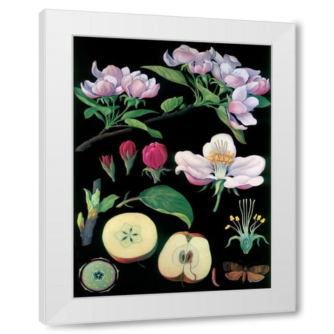 Apple Tree White Modern Wood Framed Art Print by Vintage Apple Collection