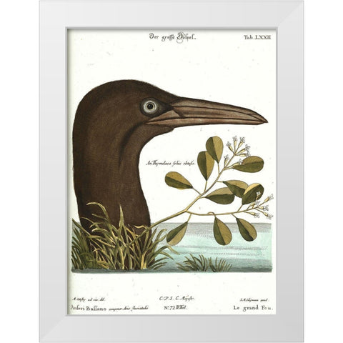 Booby Bird White Modern Wood Framed Art Print by Vintage Apple Collection