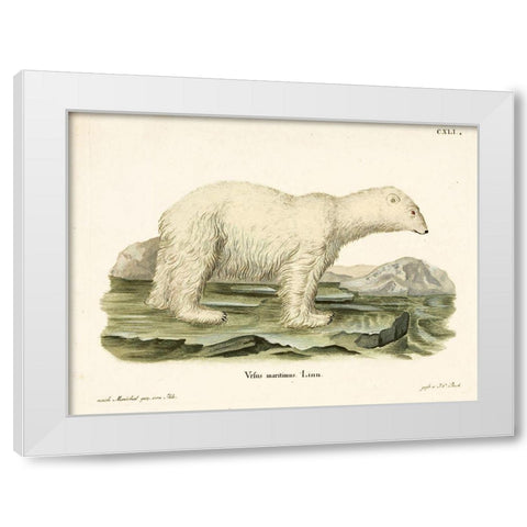 Polar Bear. II White Modern Wood Framed Art Print by Vintage Apple Collection