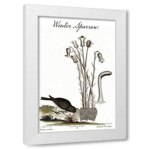 Winter Sparrow White Modern Wood Framed Art Print by Vintage Apple Collection