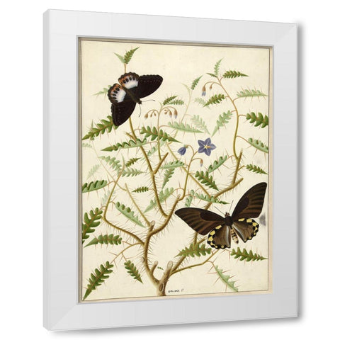 Flowers Twenty White Modern Wood Framed Art Print by Vintage Apple Collection