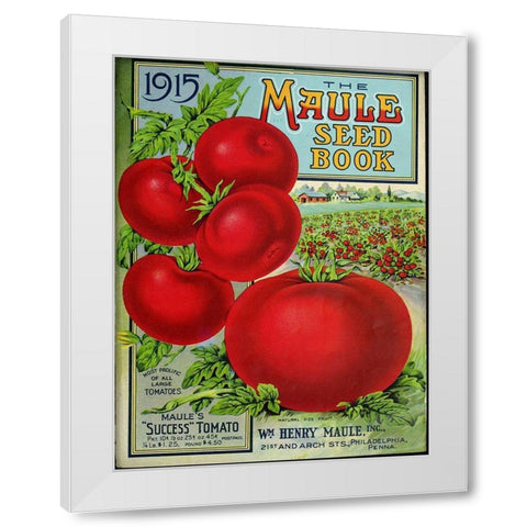 1915 Maule Tomato White Modern Wood Framed Art Print by Vintage Apple Collection