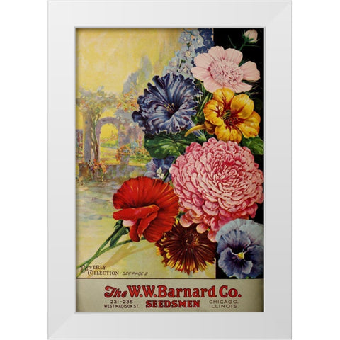 1926 Barnard Asters White Modern Wood Framed Art Print by Vintage Apple Collection