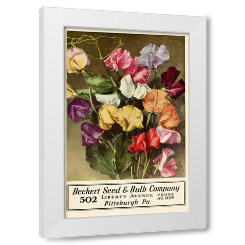 Becket Seed White Modern Wood Framed Art Print by Vintage Apple Collection