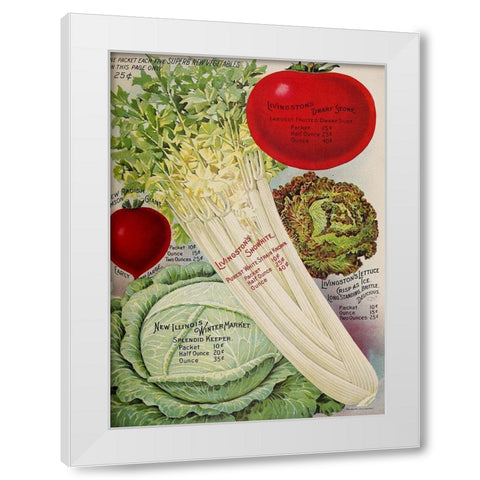 Celery White Modern Wood Framed Art Print by Vintage Apple Collection