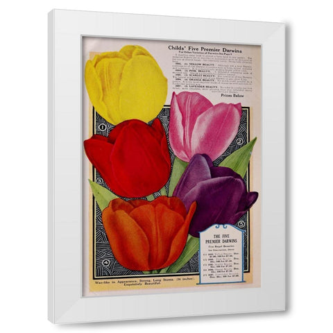 Childs Tulips White Modern Wood Framed Art Print by Vintage Apple Collection