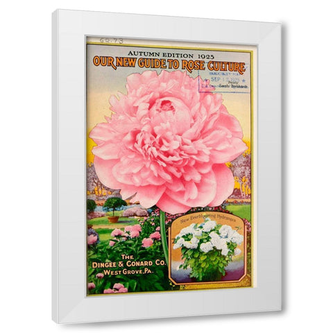 Pink Rose White Modern Wood Framed Art Print by Vintage Apple Collection