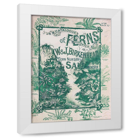 Ferns 1 White Modern Wood Framed Art Print by Vintage Apple Collection