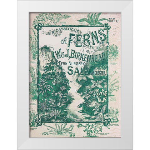 Ferns 1 White Modern Wood Framed Art Print by Vintage Apple Collection
