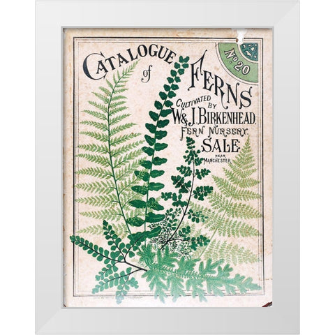 Ferns 2 White Modern Wood Framed Art Print by Vintage Apple Collection