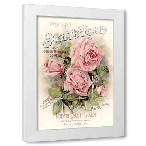 Scotts Roses White Modern Wood Framed Art Print by Vintage Apple Collection