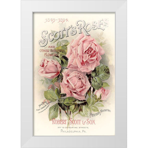 Scotts Roses White Modern Wood Framed Art Print by Vintage Apple Collection