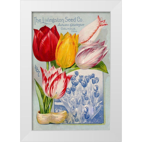 autumncatalogue-tulipes White Modern Wood Framed Art Print by Vintage Apple Collection