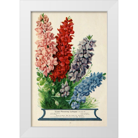 childs_larkspur White Modern Wood Framed Art Print by Vintage Apple Collection