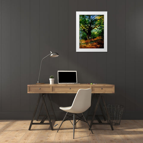 bodmer oak fountainbleau forest White Modern Wood Framed Art Print by Vintage Apple Collection