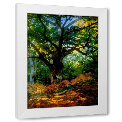 bodmer oak fountainbleau forest White Modern Wood Framed Art Print by Vintage Apple Collection