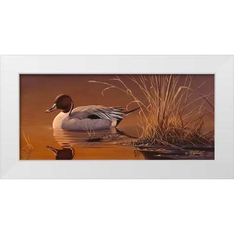 Amber Light - Pintail White Modern Wood Framed Art Print by Goebel, Wilhelm