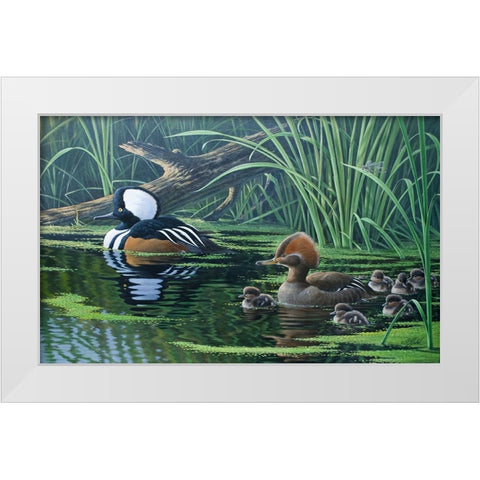Merganser White Modern Wood Framed Art Print by Goebel, Wilhelm
