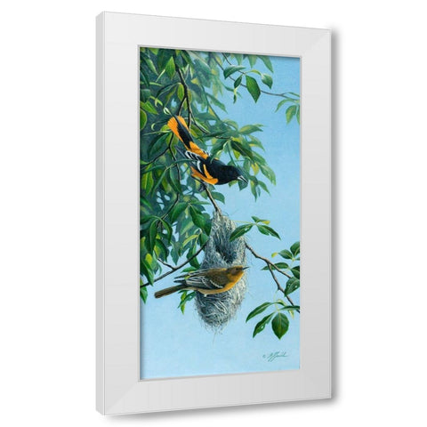 Nesting Orioles White Modern Wood Framed Art Print by Goebel, Wilhelm