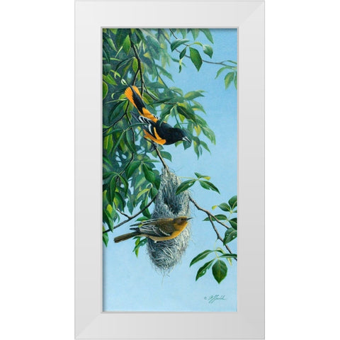 Nesting Orioles White Modern Wood Framed Art Print by Goebel, Wilhelm