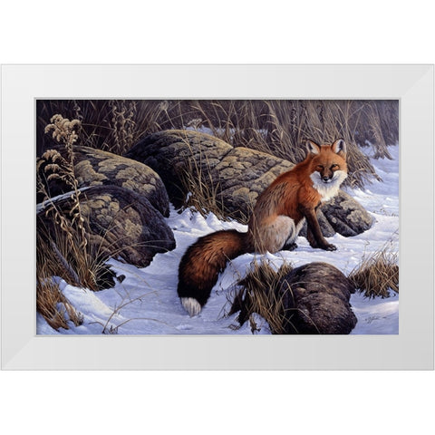 Mid Winter Pause - Red Fox White Modern Wood Framed Art Print by Goebel, Wilhelm