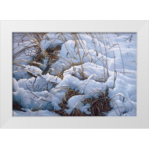 Snow Glow Field Sparrows White Modern Wood Framed Art Print by Goebel, Wilhelm