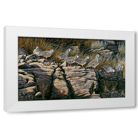 Rimrock Covey - Chukars White Modern Wood Framed Art Print by Goebel, Wilhelm