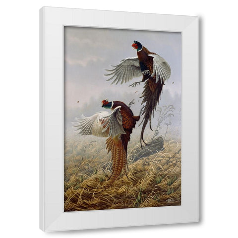 Ringneck Rivalry White Modern Wood Framed Art Print by Goebel, Wilhelm