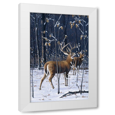 Buck In His Prime White Modern Wood Framed Art Print by Goebel, Wilhelm