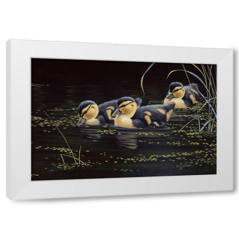 Mallard Ducklings White Modern Wood Framed Art Print by Goebel, Wilhelm