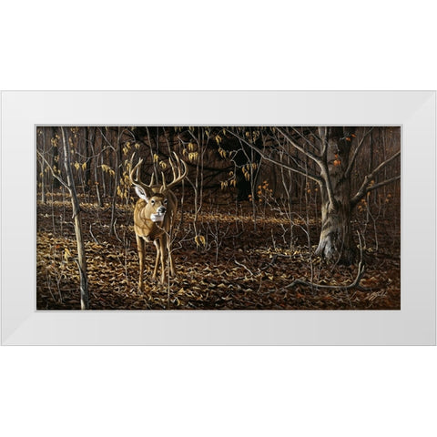 Sneaking Through - Whitetail White Modern Wood Framed Art Print by Goebel, Wilhelm
