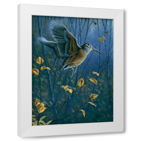 Woodcock On The Wing White Modern Wood Framed Art Print by Goebel, Wilhelm
