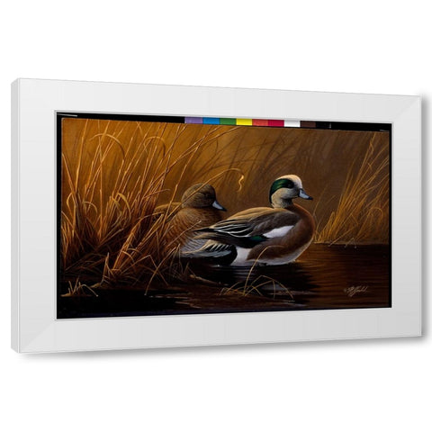 Widgeon In The Grass White Modern Wood Framed Art Print by Goebel, Wilhelm