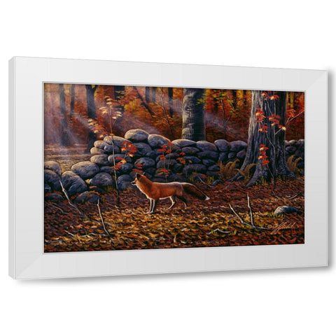 Autumn Reds - Red Fox White Modern Wood Framed Art Print by Goebel, Wilhelm