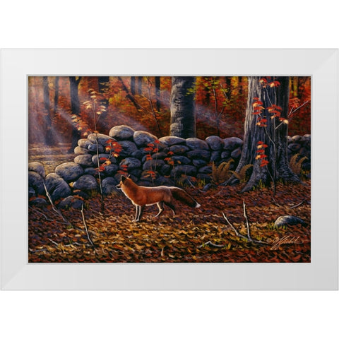 Autumn Reds - Red Fox White Modern Wood Framed Art Print by Goebel, Wilhelm