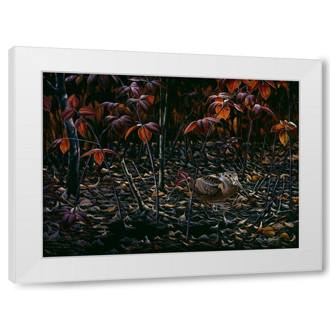 The Woodcocks World White Modern Wood Framed Art Print by Goebel, Wilhelm